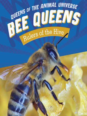 cover image of Bee Queens